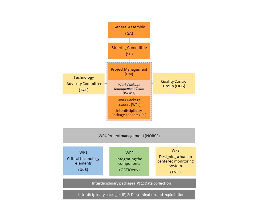 DigiMon%20governing%20structure